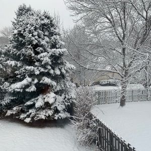 Meet your Posher, Olinda